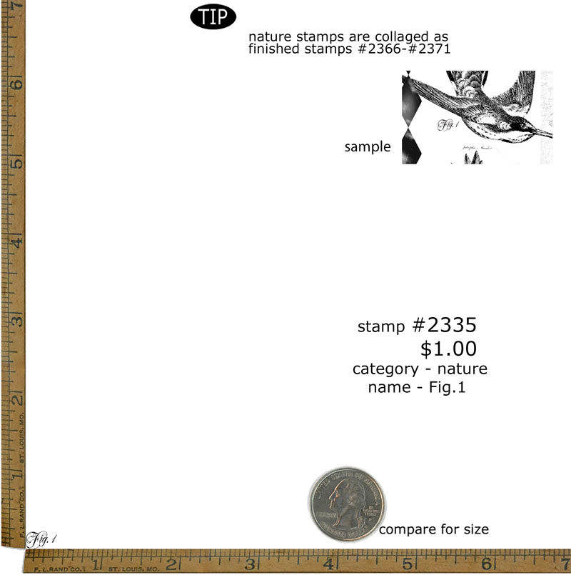 #2335 - Fig. 1 - Nature